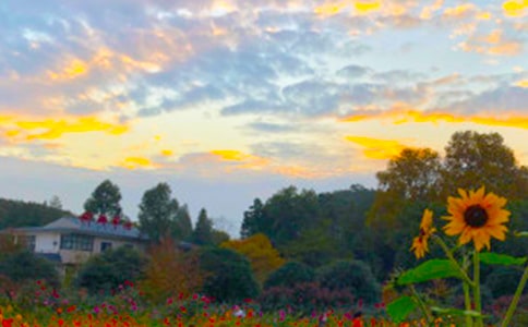 �������꼉����300�օR��5ƪ