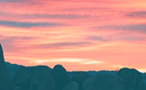 三年級(jí)傍晚作文合集5篇