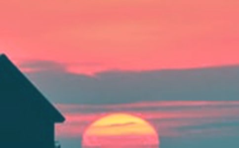 ������ɢ���r�����c��{������������x��