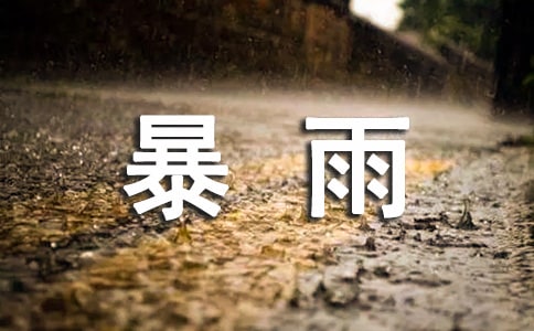 暴風(fēng)暴雨防汛應(yīng)急預(yù)案(通用5篇)