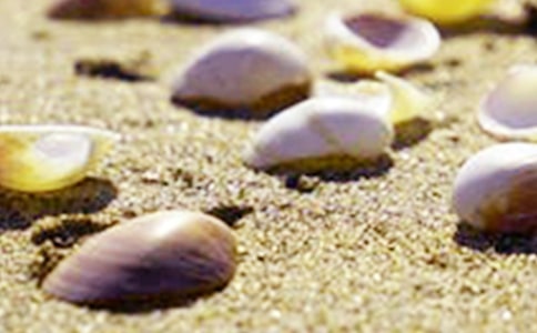 ؐ��ϯĽ���x���