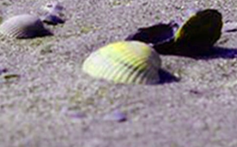 ϯĽ�ݡ�ؐ������x��ͨ��