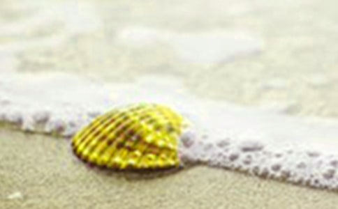 描寫貝殼的好詞佳句