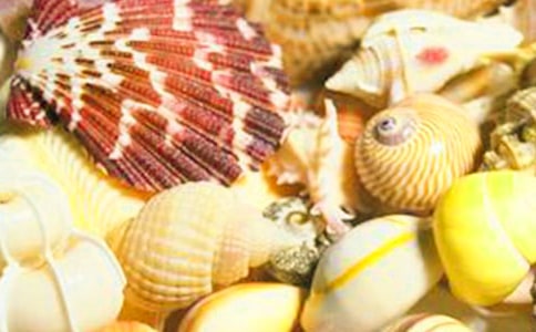 ϯĽ�ݡ�ؐ������x��