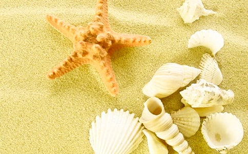 席慕容《貝殼》閱讀答案