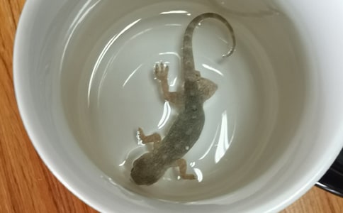 ���P(gu��n)�ڻ������꼉������ƪ