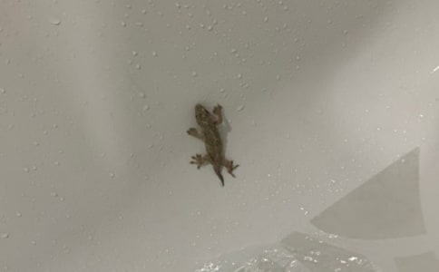 ��С�ڻ���β�͡��ĵڶ��n�r�̌W(xu��)�O(sh��)Ӌ(j��)