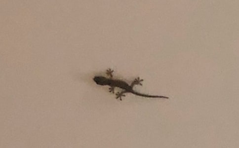 ���P(gu��n)��С�ڻ���β�͡��ڶ��n�r(sh��)�Ľ̌W(xu��)�O(sh��)Ӌ(j��)