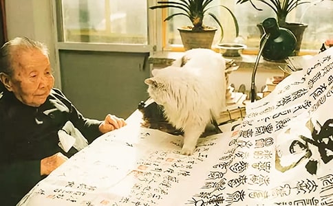 ����С�۟����x��У����x6ƪ��