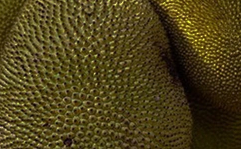 林清玄《菠蘿蜜》練習(xí)及答案