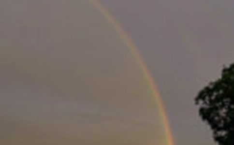 �����á��ʺ��ͯԒ����3ƪ