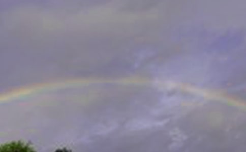 �茑(xi��)�ʺ�ĺ��~�þ��p��