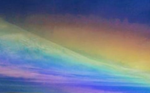 《彩虹色的花》說課稿模板