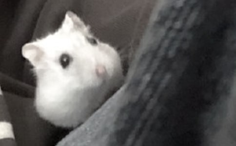 �P(gu��n)�ڂ}(c��ng)���^����ӛ���ĺϼ�ʮƪ