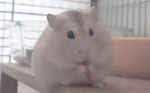 �}���^����ӛ(�R��15ƪ)