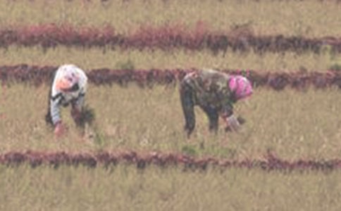 ��������400��10ƪ