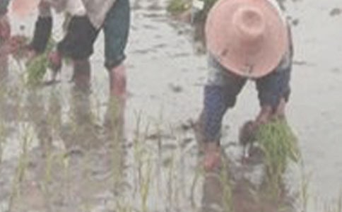 �ҌW(xu��)���˲�������