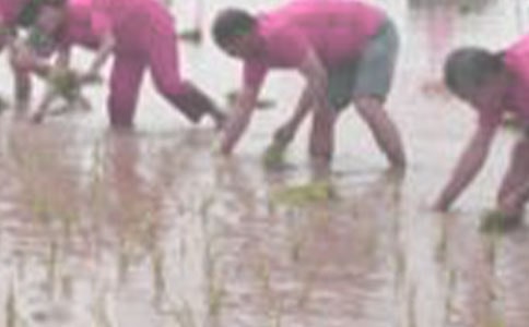 �W(xu��)����С�W(xu��)���꼉(j��)����