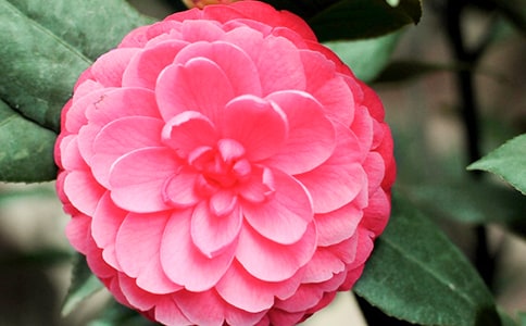 ���P(gu��n)�軨���꼉(j��)������ƪ