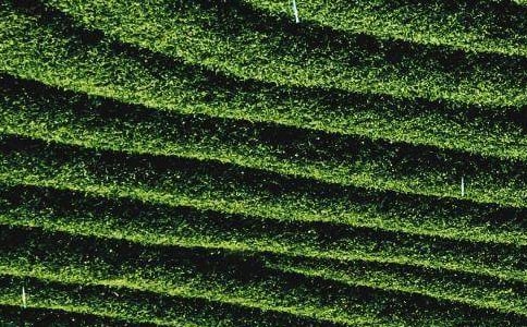 �ҌW���˲ɲ��~�����ķ���