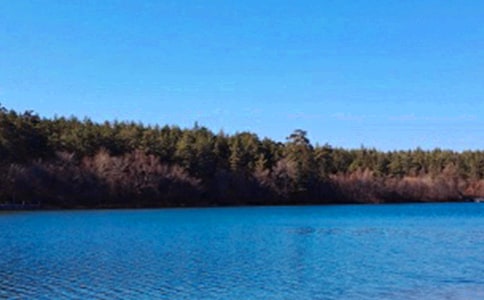 長(zhǎng)白山導(dǎo)游詞簡(jiǎn)短一點(diǎn)5篇