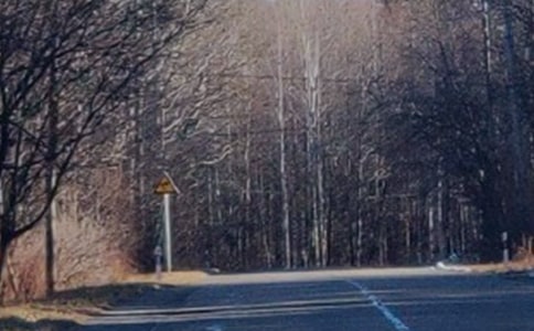 ���L��ɽ���ӛС�W(xu��)���꼉����