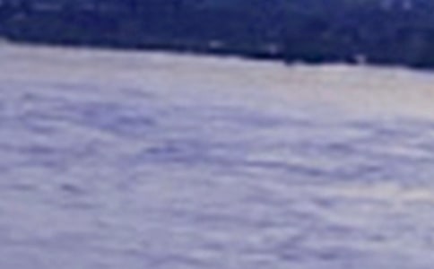 �L����Ѳ߉Ԋ��5��