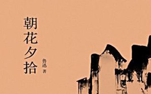 朝花夕拾讀后感800字(通用20篇)
