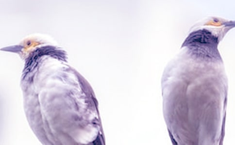 ���ܱ��C��(sh��)�����x5ƪ��