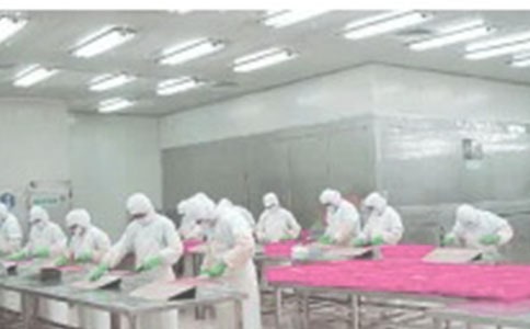 ���P(gu��n)܇�g����Ӌ(j��)�����ļ��\ʮƪ