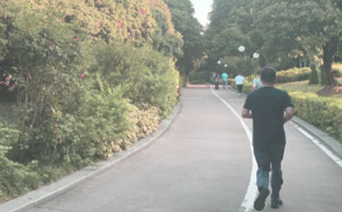 晨跑五年級學生作文