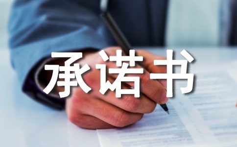 效能建設(shè)的`個(gè)人承諾書范文