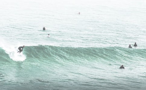 我學(xué)會(huì)了沖浪作文(精選44篇)