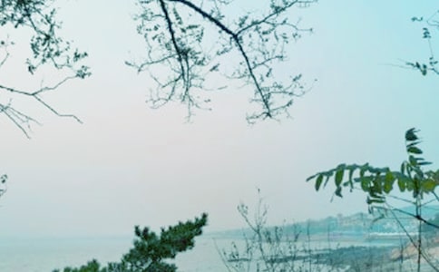 愛在春風(fēng)里高一作文