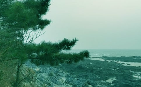 春風(fēng)三月保環(huán)境三年級作文