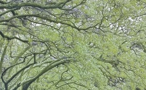 ��I(y��)�䌍(sh��)���L(f��ng)�Є�(d��ng)��(sh��)ʩ�������ģ����x5ƪ��