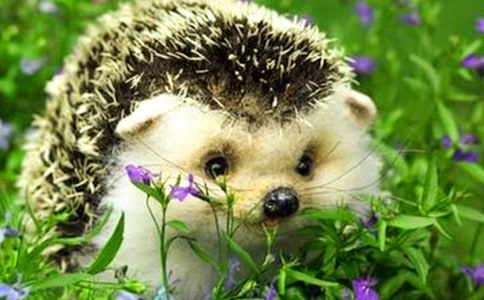 ������Ӵ�⬽̰�