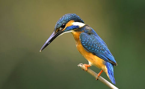 ���B�ă�(y��u)��̰��O(sh��)Ӌ(j��)����