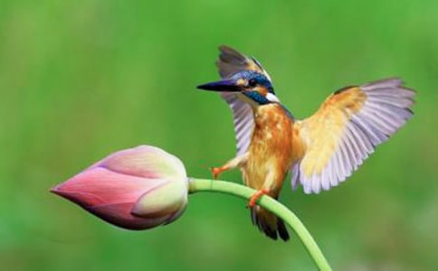 ���B�̎��̌W(xu��)��˼