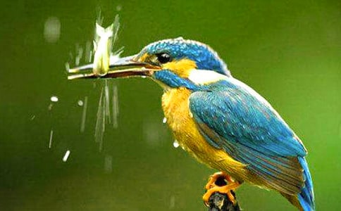 ���B�̌W(xu��)�O(sh��)Ӌ(j��)�����x3ƪ��