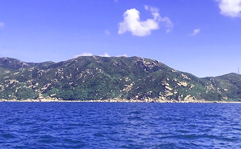 我和大海面對面周記