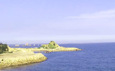 ����Ʒ���������İ�ƪ