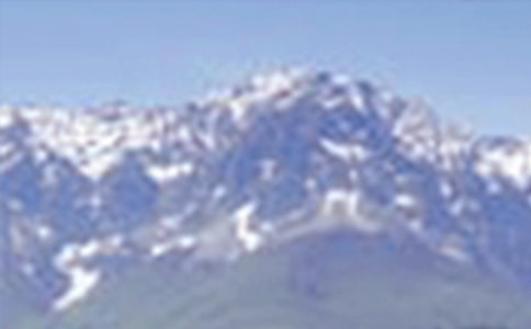 ��ɽ���o(h��)��ɢ��