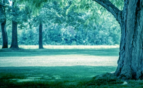 �P(gu��n)�ڡ���ľ�B�ʹ�䡷�̌W(xu��)�O(sh��)Ӌ