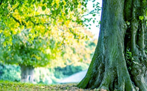 �L������䡷�Ľ̰������x10ƪ��