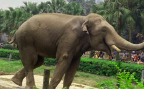 �T����С�W(xu��)������400��