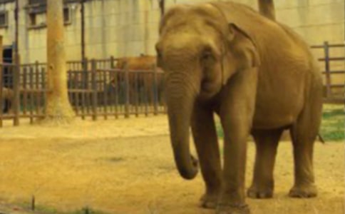 ���ڹ��ڵĴ���Ԣ��С����