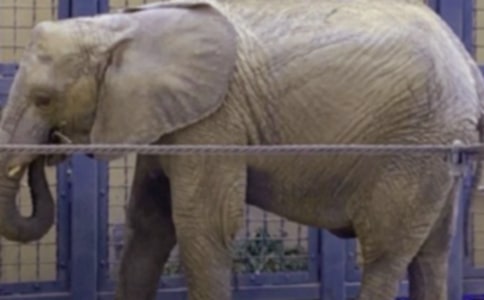 ������Ӵ�򿴈D��Ԓ����