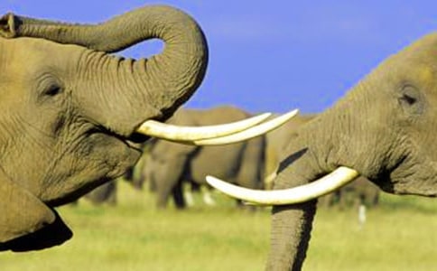 С�ཡ����(y��u)��̰����̌W(xu��)��˼�������\(y��n)�Z��