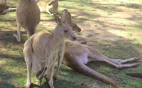 �茑���������200�֣����x23ƪ��